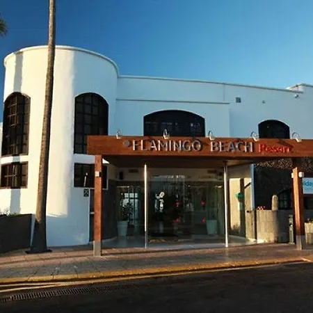 Flamingo 3*
