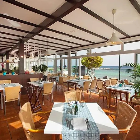 Flamingo Playa Blanca (Lanzarote)