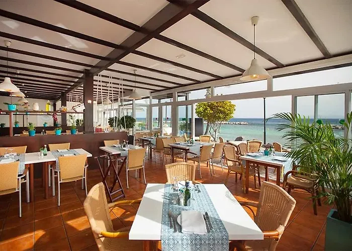 Flamingo 플라야블랑카